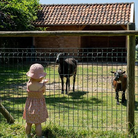 Hoeve De Binnenplaets Schimmert Eksteriør billede