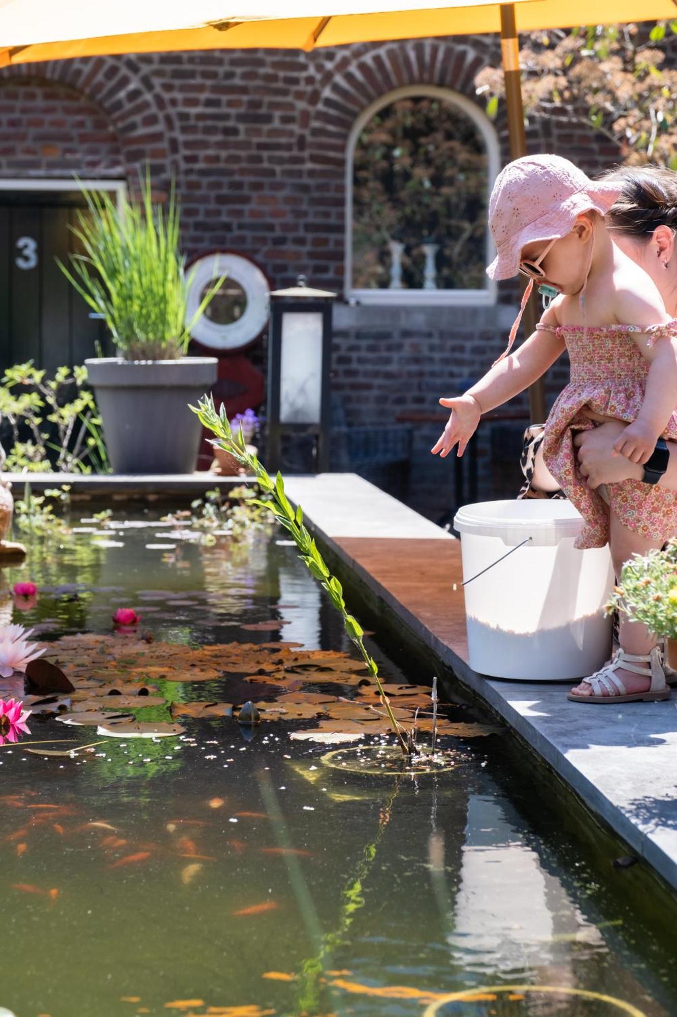 Hoeve De Binnenplaets Schimmert Eksteriør billede